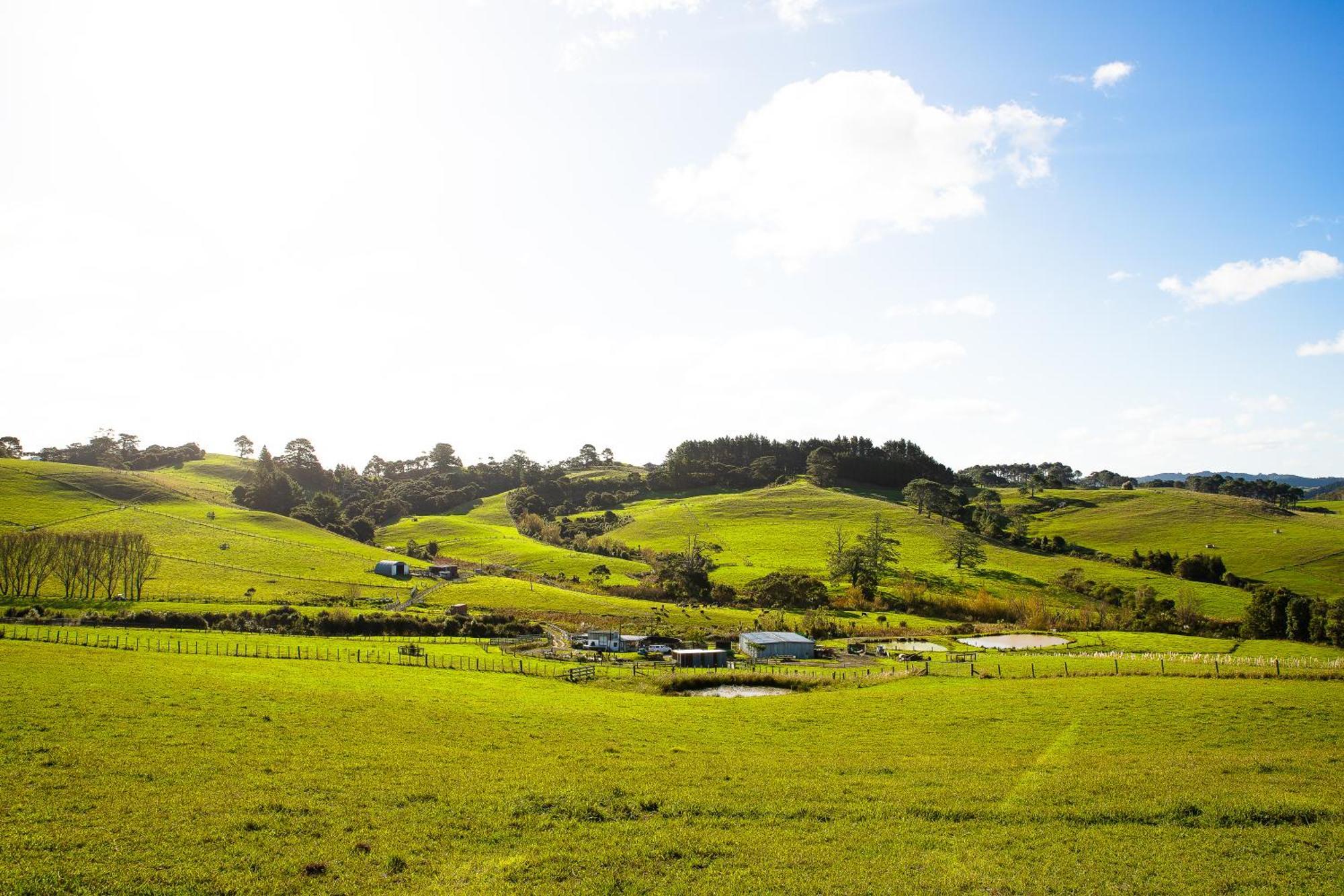 Bever Farm Waitoki Екстер'єр фото